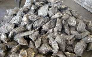 昆山市張浦鎮菊新水產冷凍批發部 專業水產品批發與供應鏈服務