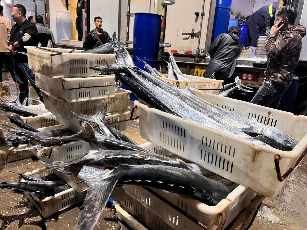 封海前最后一船海鮮抵達(dá)城陽(yáng)水產(chǎn)批發(fā)市場(chǎng)，鲅魚(yú)仍唱主角