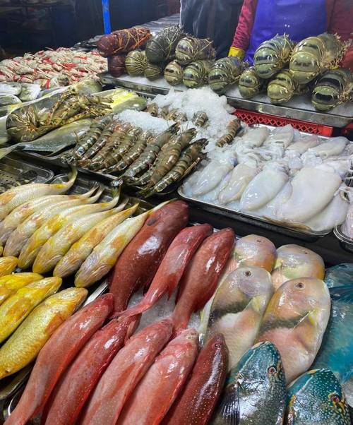 免租半年，搶占先機(jī)！博羅水西農(nóng)貿(mào)綜合批發(fā)市場(chǎng)水產(chǎn)海鮮一級(jí)批發(fā)平臺(tái)盛裝啟幕